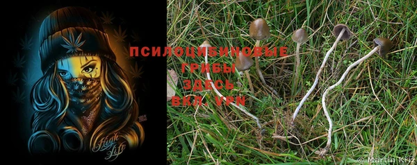 первитин Абдулино