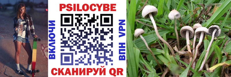 Псилоцибиновые грибы Cubensis  гидра сайт  Калачинск 