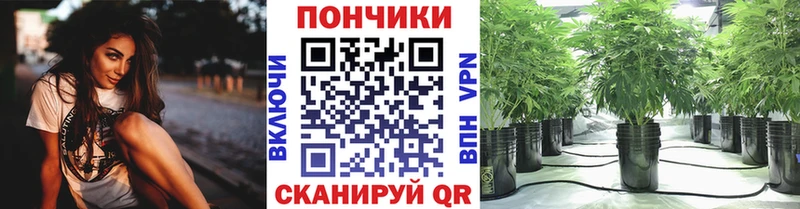 Канабис VHQ что такое Калачинск